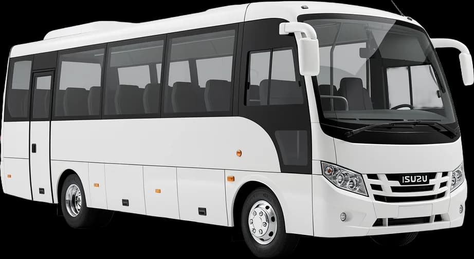 Midibüs