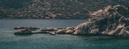 Transfer for large families: special offers and high-capacity vehicles