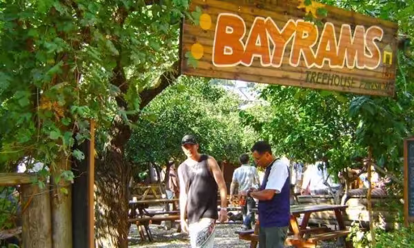 Bayrams Tree House Transfer