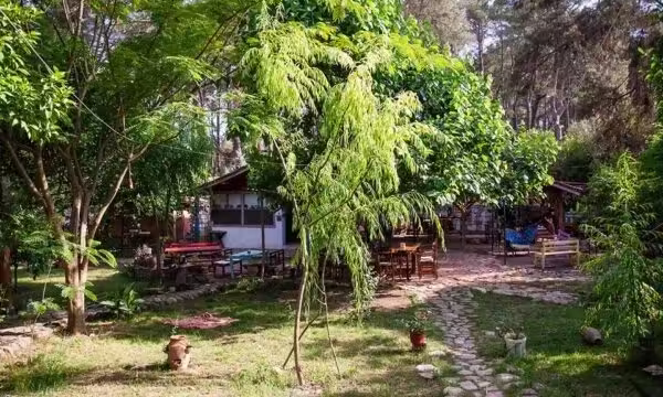 Eskibeyaz Bungalow Transfer