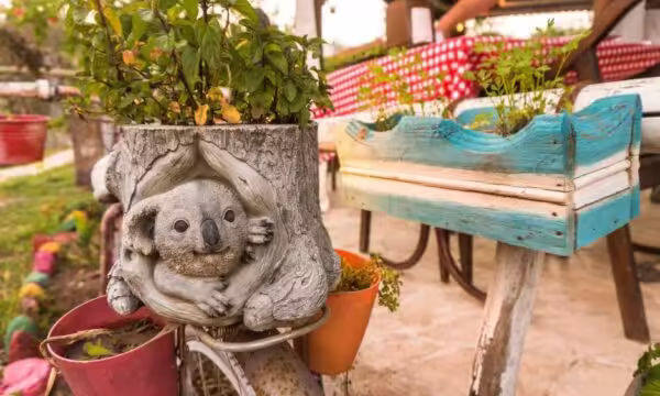 Koala Bungalow Transfer