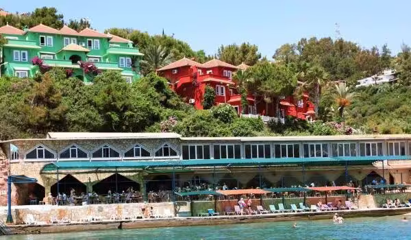 Larissa Hill Beach Transfer