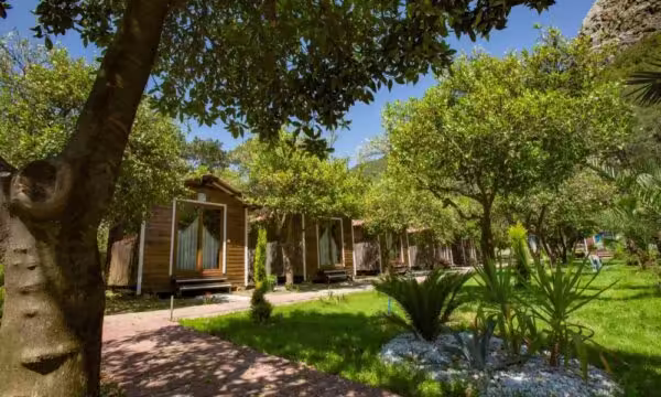 Likya Evleri Transfer